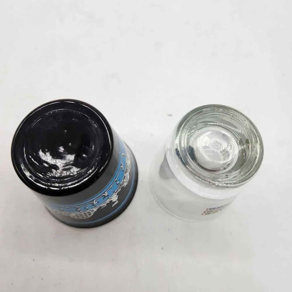 Set of 2 Adventureland Des Moines Iowa Shot Glasses Amusement Park Souvenir